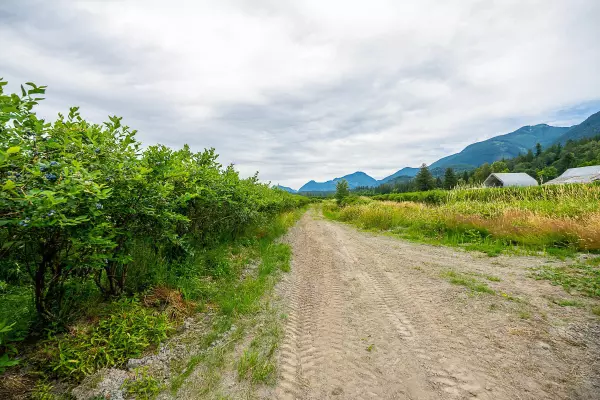 10931 Sylvester RD Mission, BC V2V 0B2