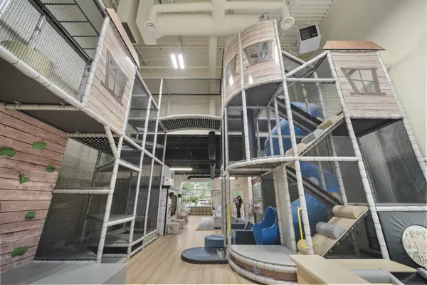 19748 86 AVE #A110, Langley, BC V2Y 1Z5