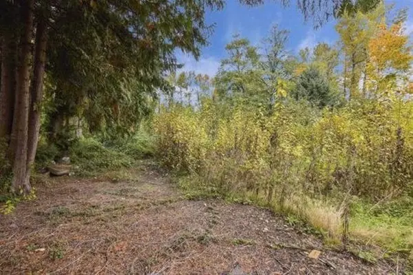 Surrey, BC V3R 5Y2,14409 115 AVE