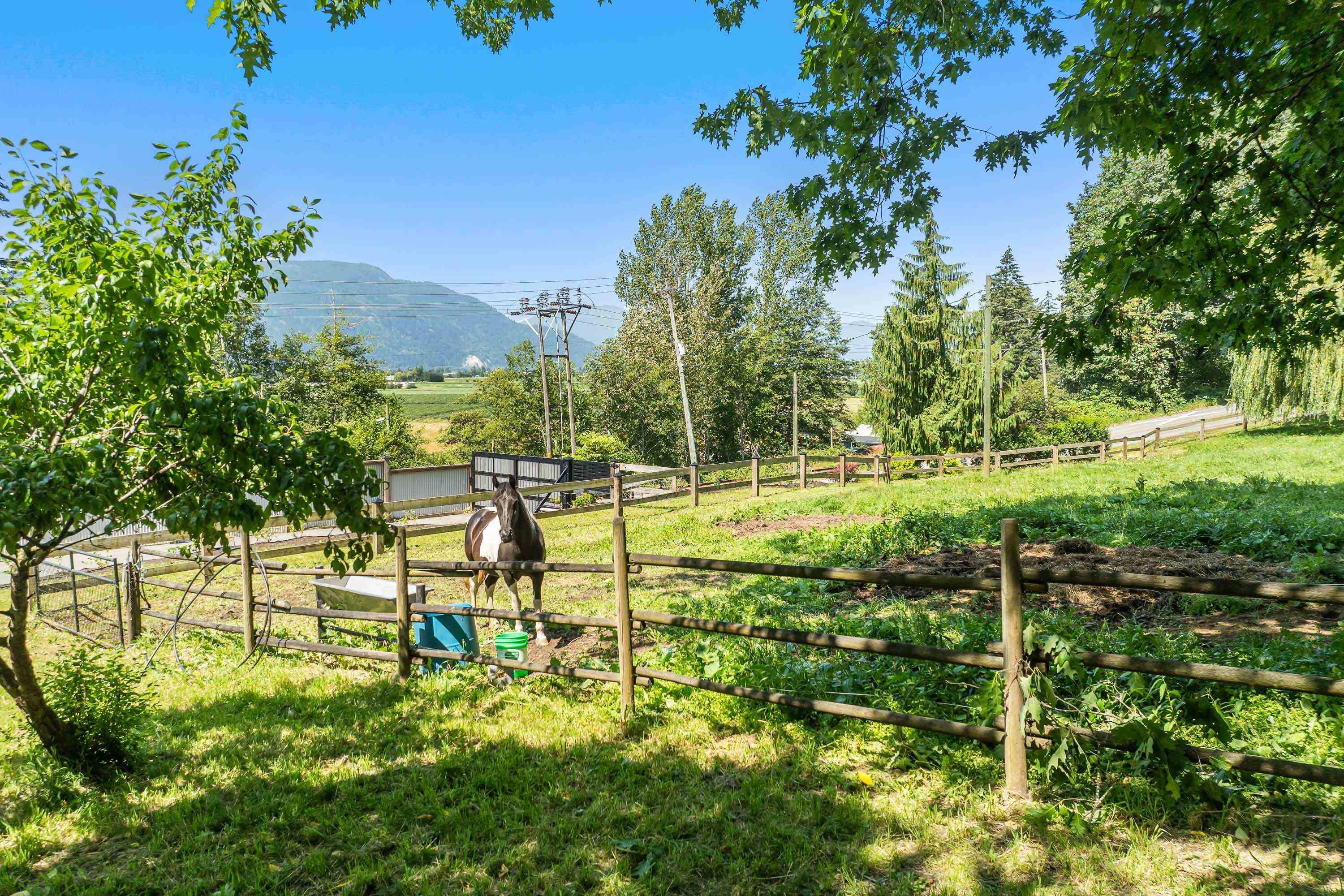 Abbotsford, BC V3G 2M9,41056 Belrose RD