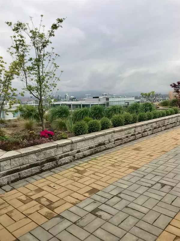 Vancouver, BC V5Z 1E9,550 W Broadway #502