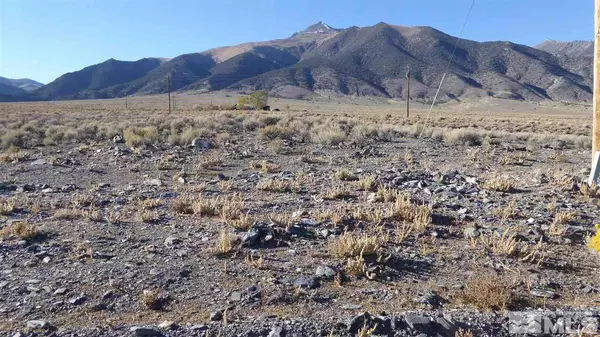 206 Toiyabe ST Street, Kingston, NV 89310
