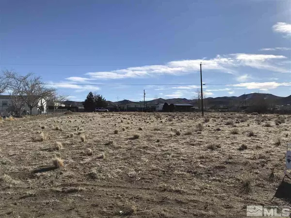 Yerington, NV 89447,40 Buffalo