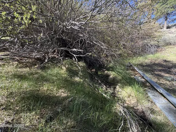 Carson City, NV 89703,5000 W Hwy 50