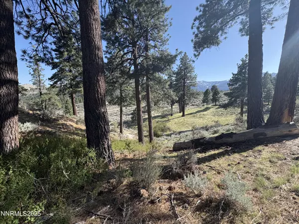 Carson City, NV 89703,5000 W Hwy 50