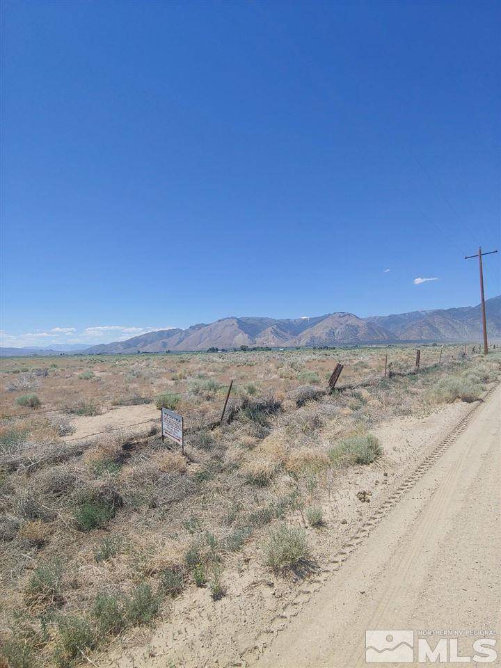 TBD Jessen RD Road, Smith, NV 89444