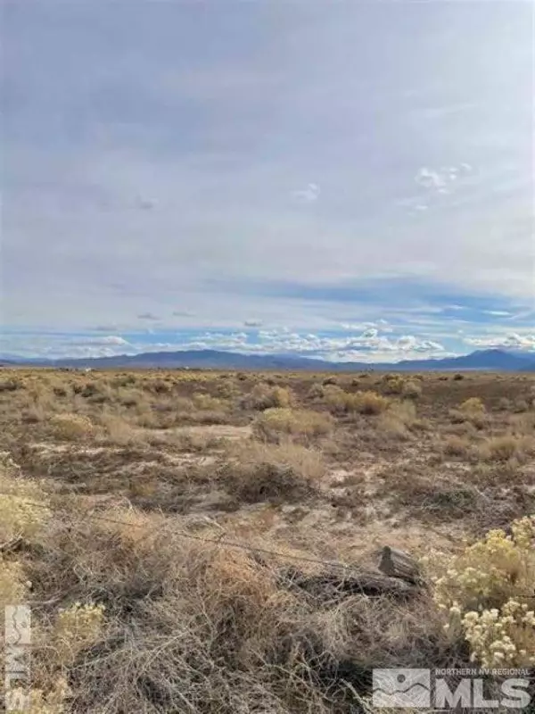 Smith, NV 89444,175 Jessen