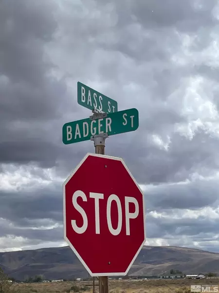 1840 E Badger, Silver Springs, NV 89429