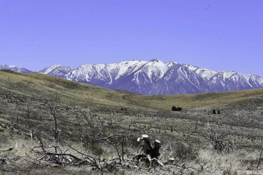 TBD parcels at Pine Nut Creek area, Gardnerville, NV 89410