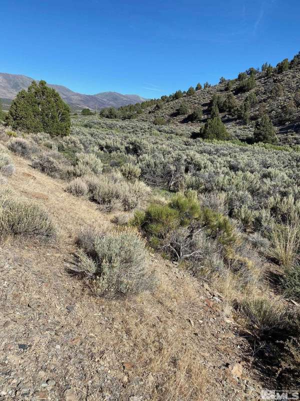 tbd Behind City of Refuge (7), Gardnerville, NV 89410