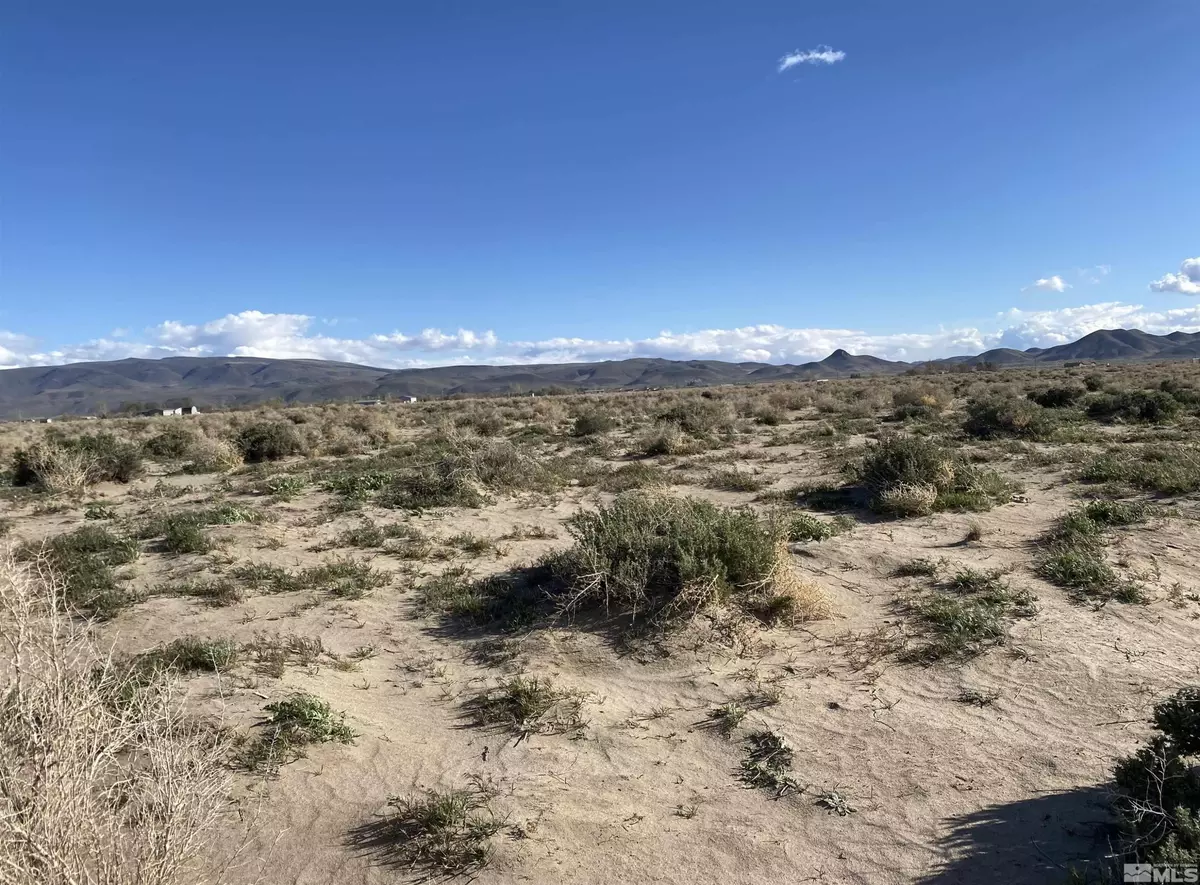 Silver Springs, NV 89429,1655 E Antelope ST