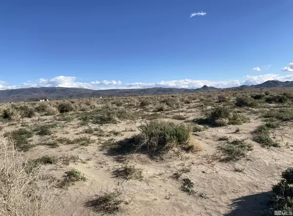 1655 E Antelope ST, Silver Springs, NV 89429