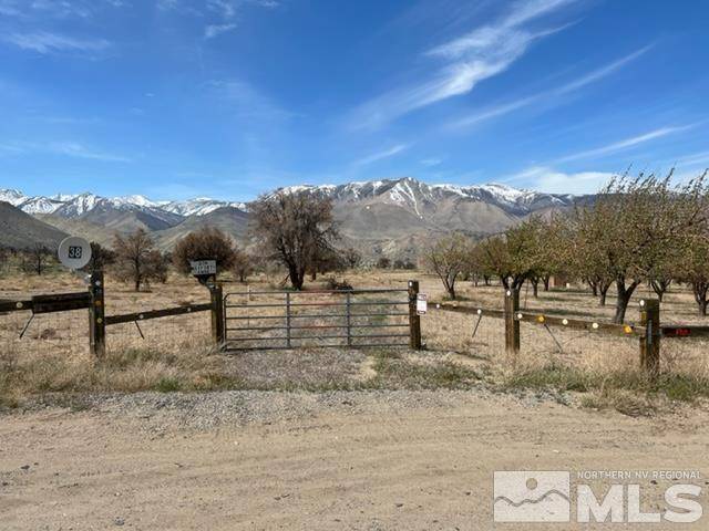 38 Burcham Flat RD Road, Walker, CA 96107