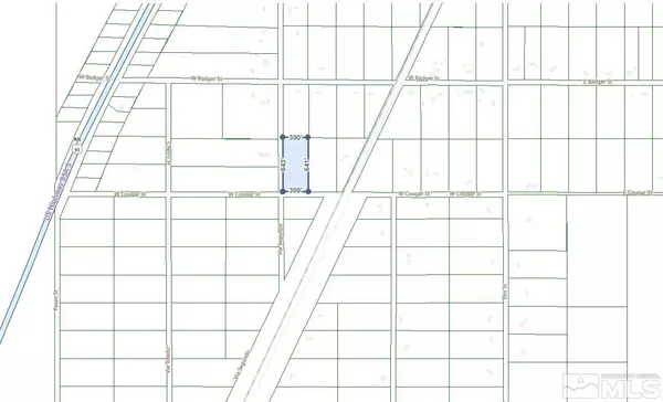 Silver Springs, NV 89429,1460 W Cougar ST