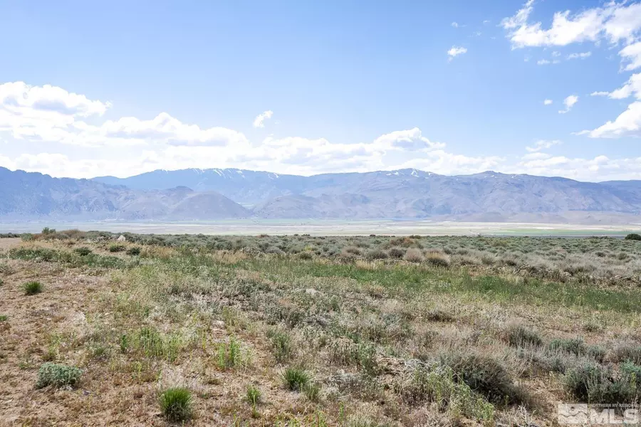 4650 Risue RD Road, Topaz, NV 89410