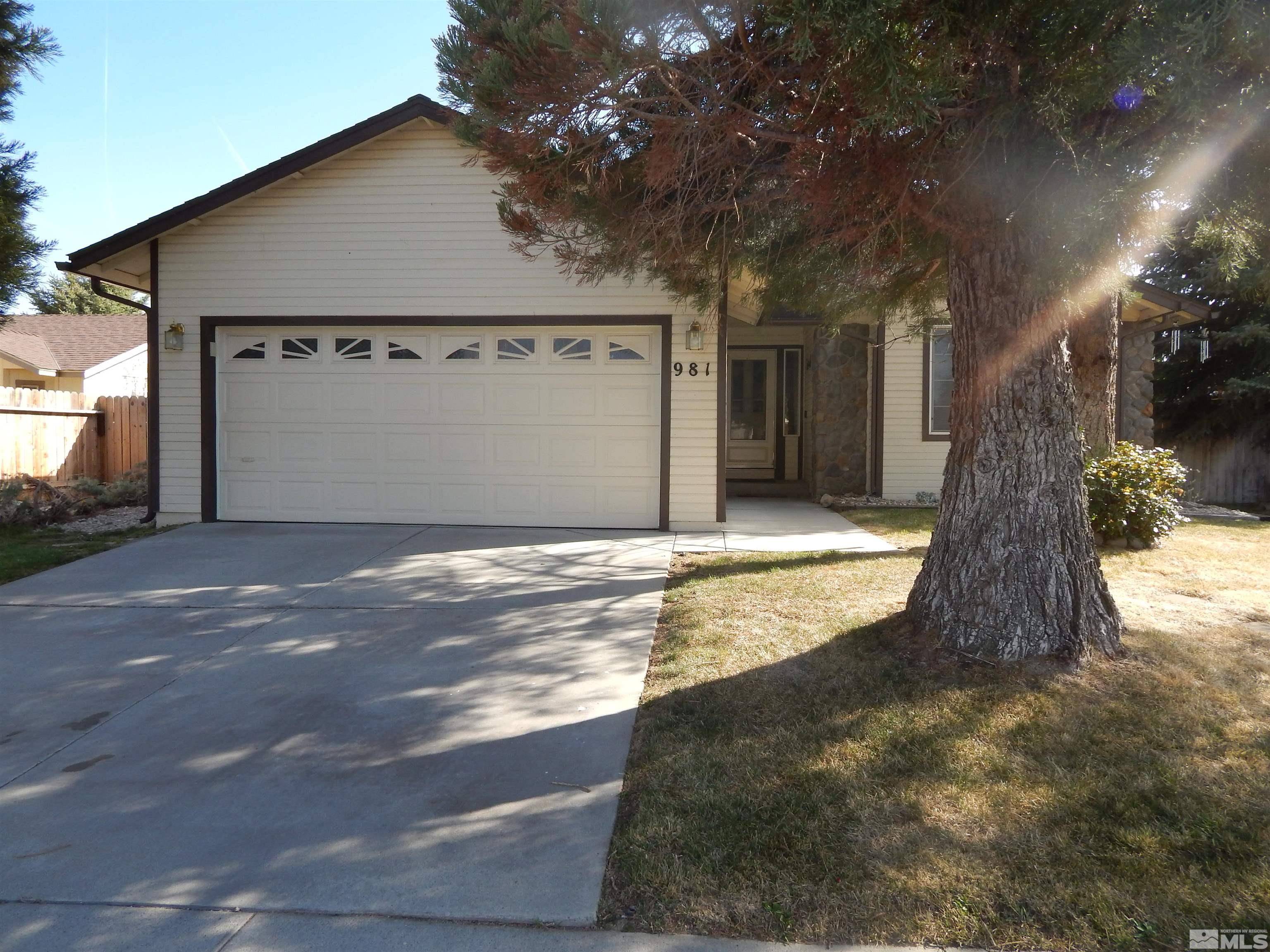 981 Desert DR Drive, Carson City, NV 89705