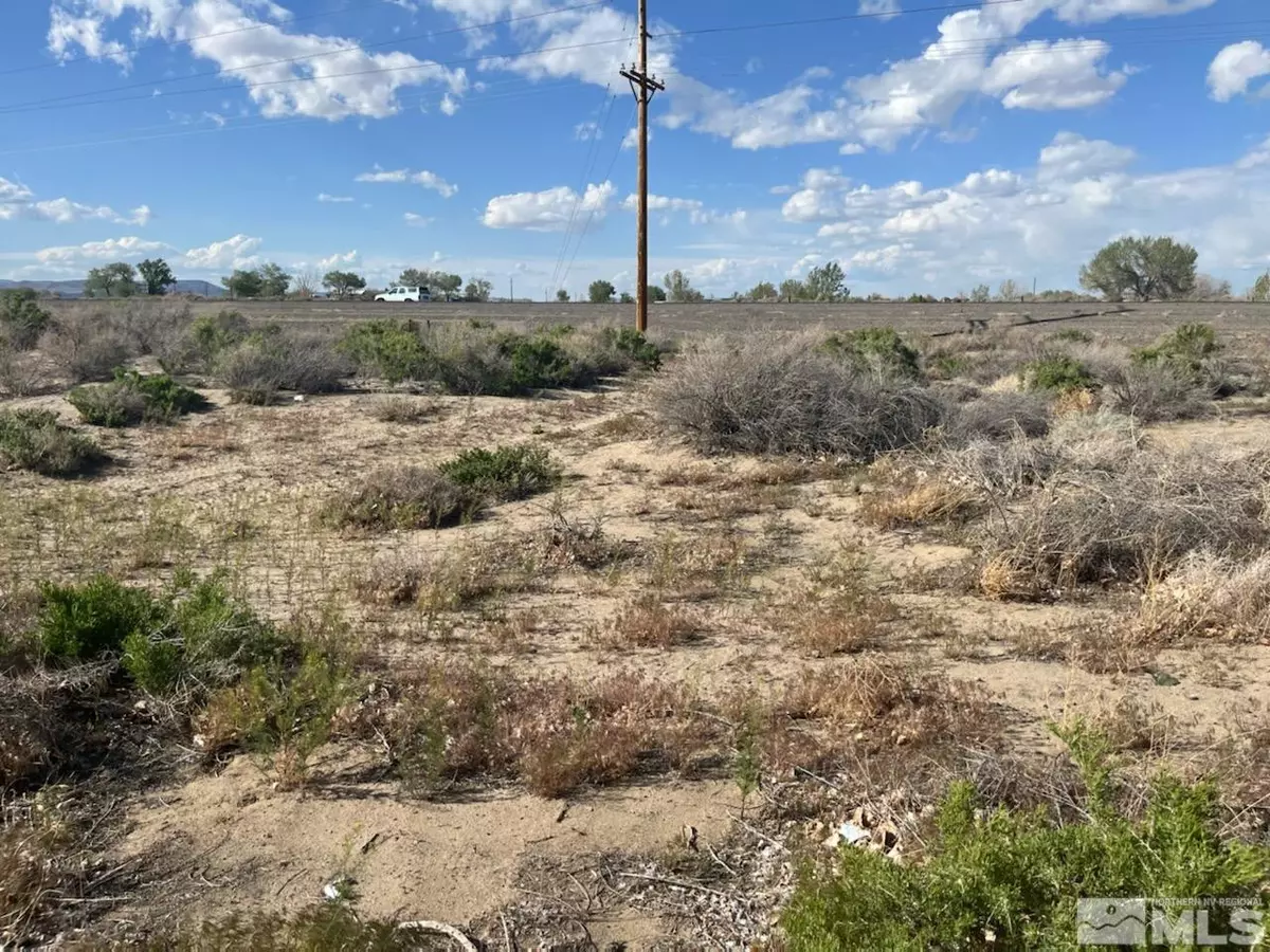 Fallon, NV 89406,8780 Ara LN