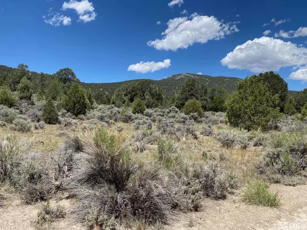 Carson City, NV 89701,tbd El Dorado CYN