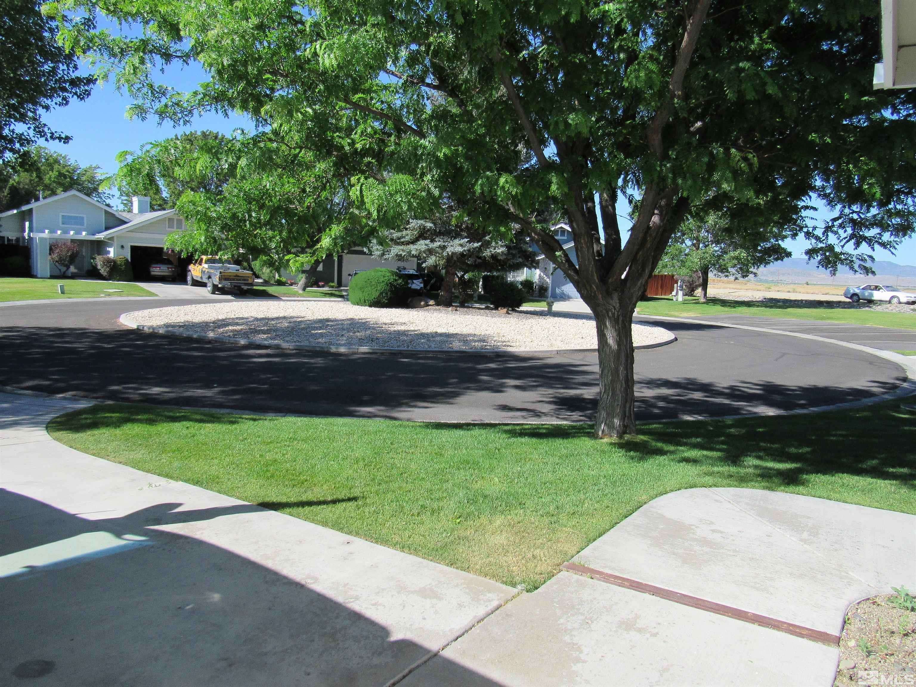 Minden, NV 89423,1093 Daphne CT Court