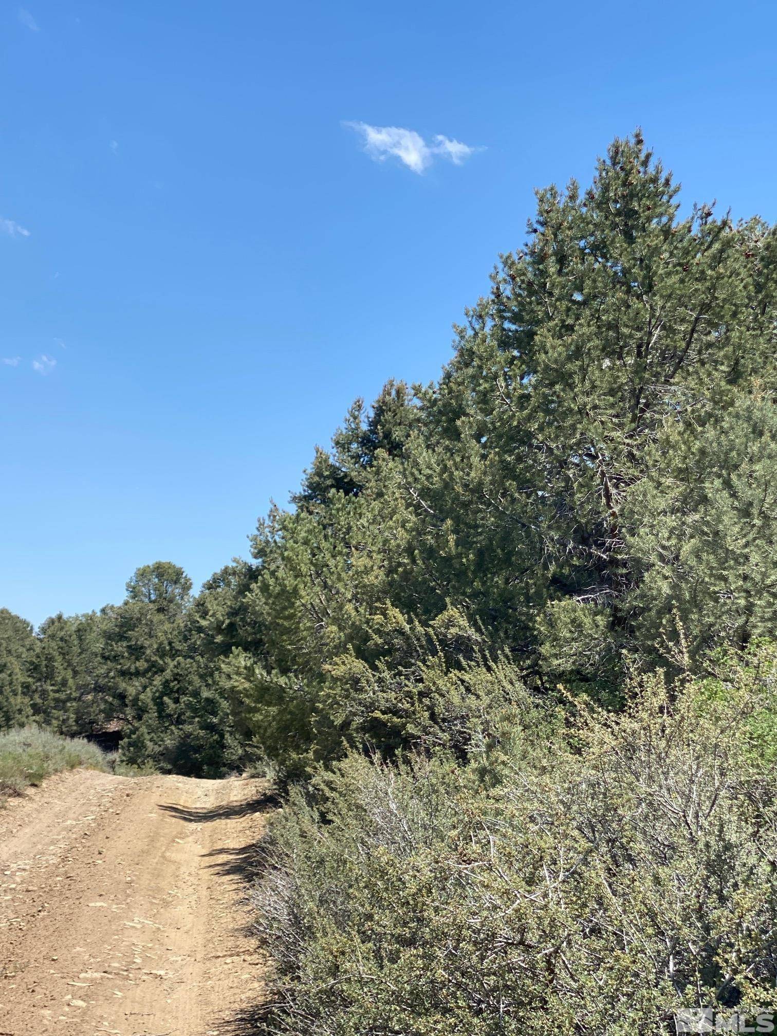 TBD Pine Nut, Gardnerville, NV 89410