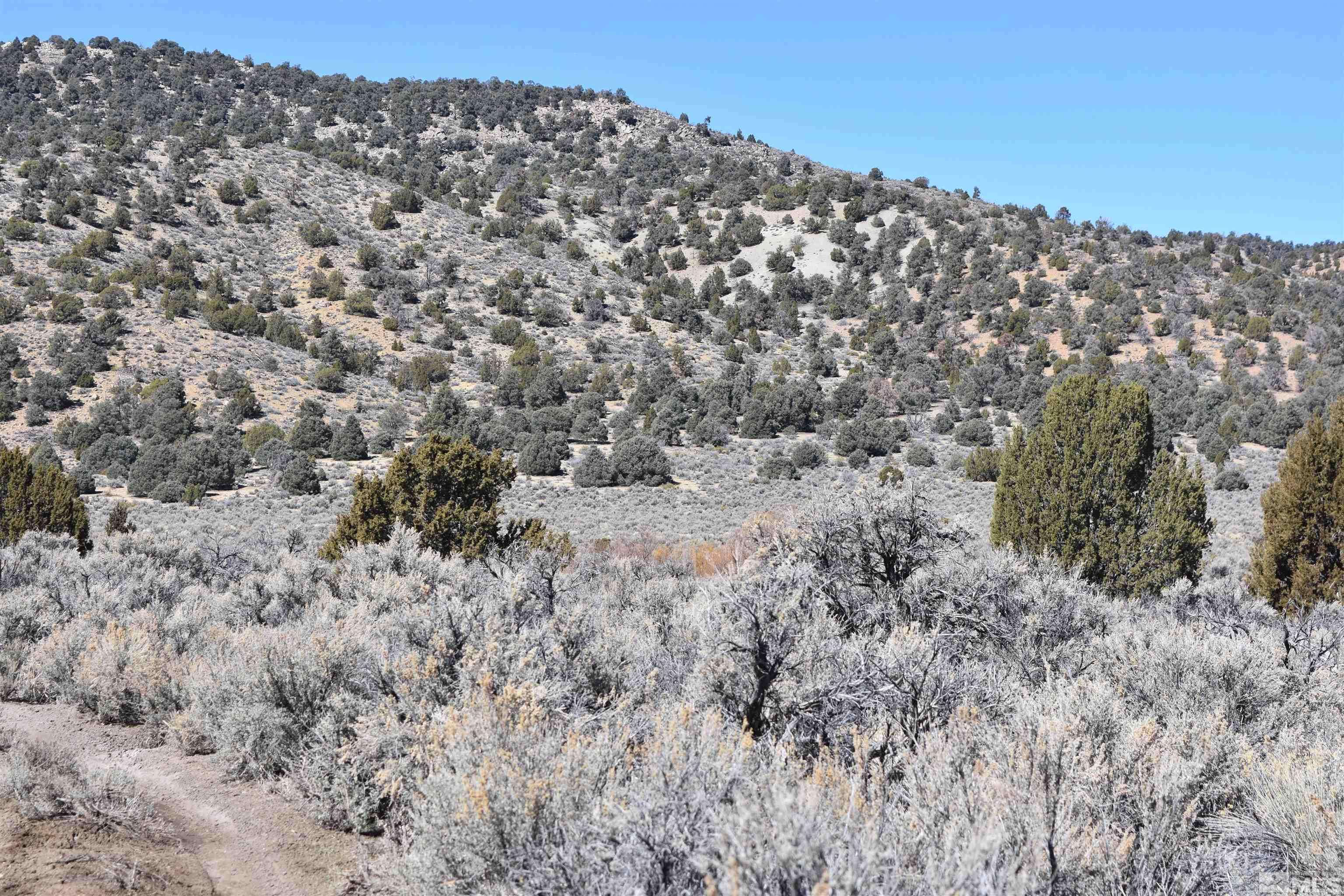 Gardnerville, NV 89410