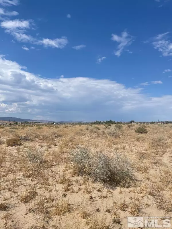 Silver Springs, NV 89429,1100 E Cougar