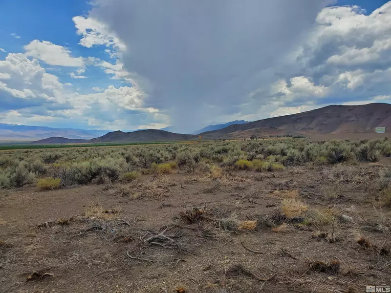 3929 Carter, Wellington, NV 89444