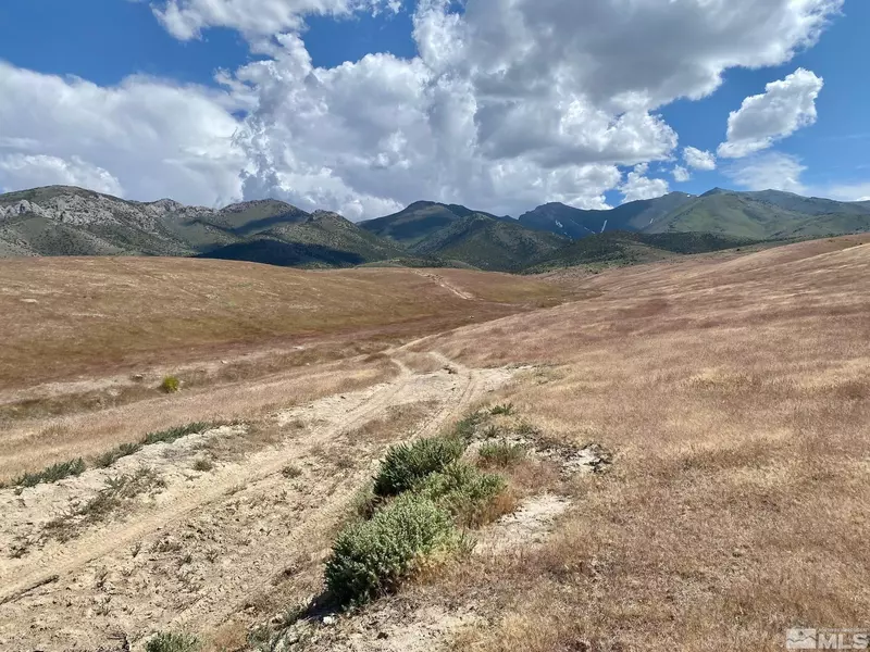 838016 Near Thunder CYN Canyon, Imlay, NV 89418