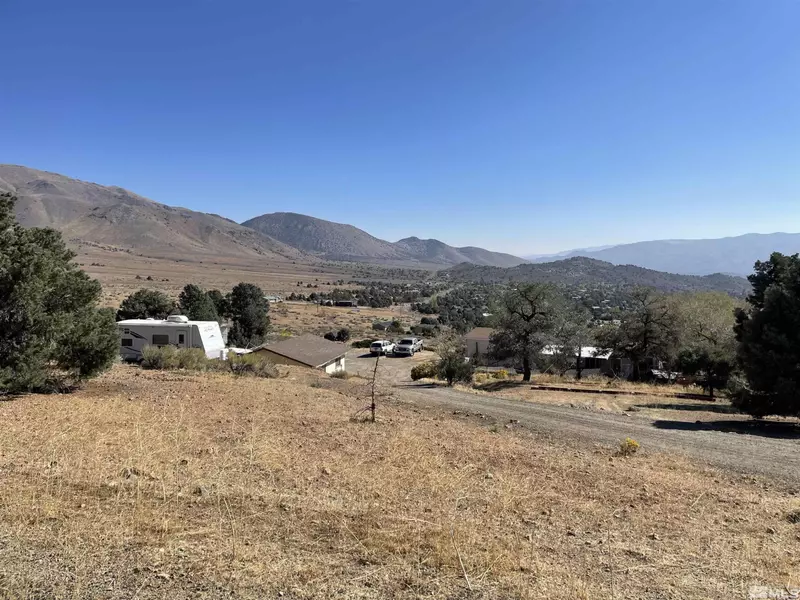 1208 Slate, Wellington, NV 89444