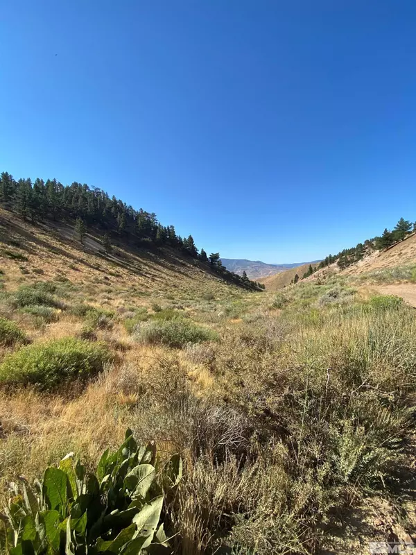 0 Unspecified, Reno, NV 89523
