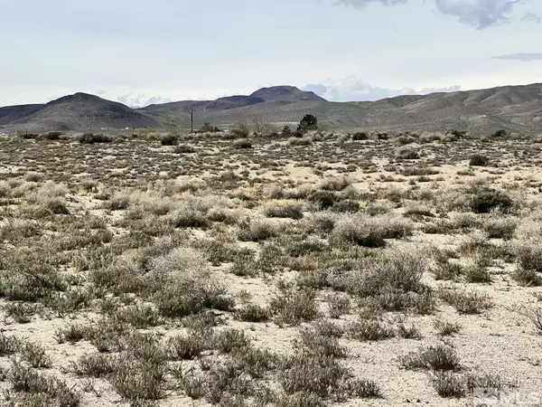 Silver Springs, NV 89429,1655 E 3Rd