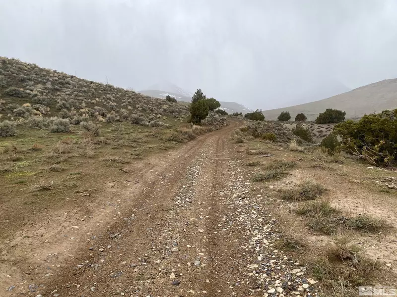0 Near Coyote CYN Canyon, Unionville, NV 89418