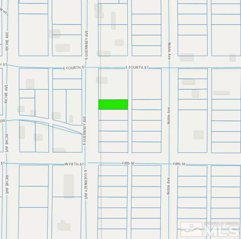 Golconda, NV 89414,08-0193-16 S Guersney AVE Avenue