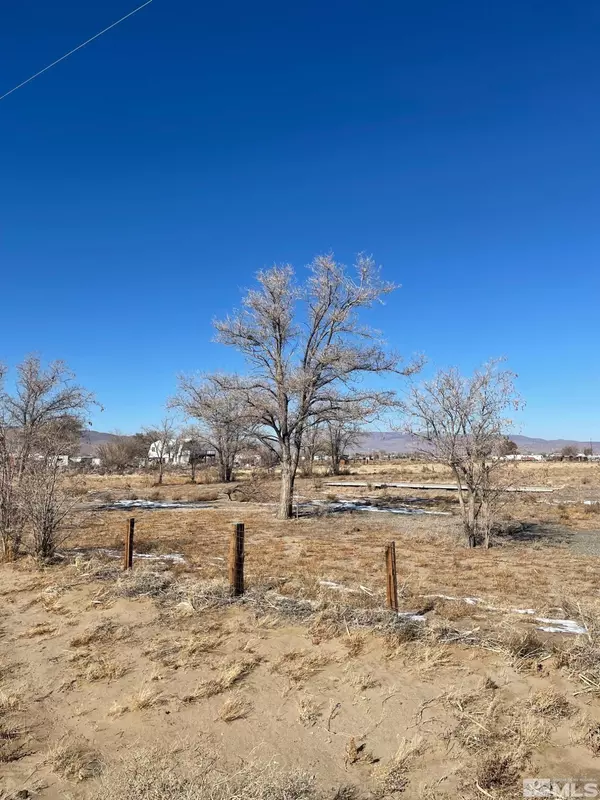 Silver Springs, NV 89429,2470 E Cougar ST