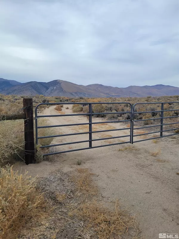 Wellington, NV 89444,277 Burke