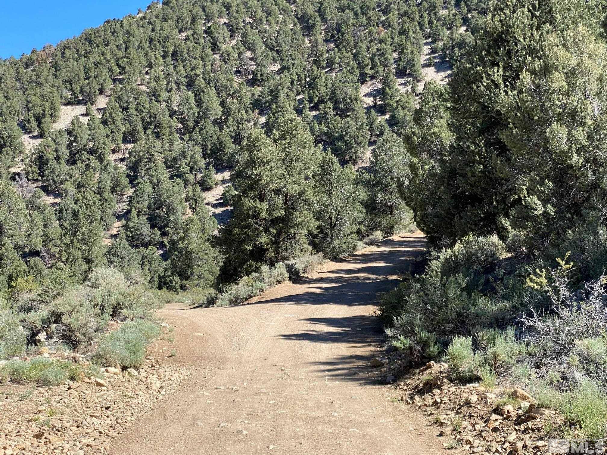 Smith, NV 89444,TBD El Dorado CYN Canyon
