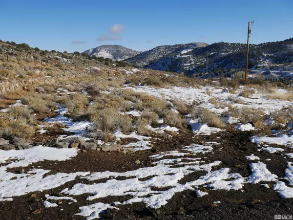 Virginia City, NV 89440,580 E Mill