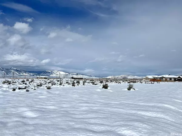 Minden, NV 89423,1824 Painted Desert DR