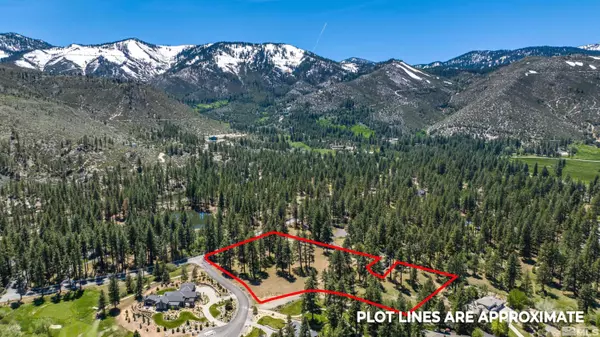 Washoe Valley, NV 89704,1 Pine Mesa CT Court