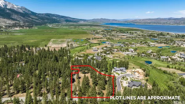 Washoe Valley, NV 89704,1 Pine Mesa CT Court