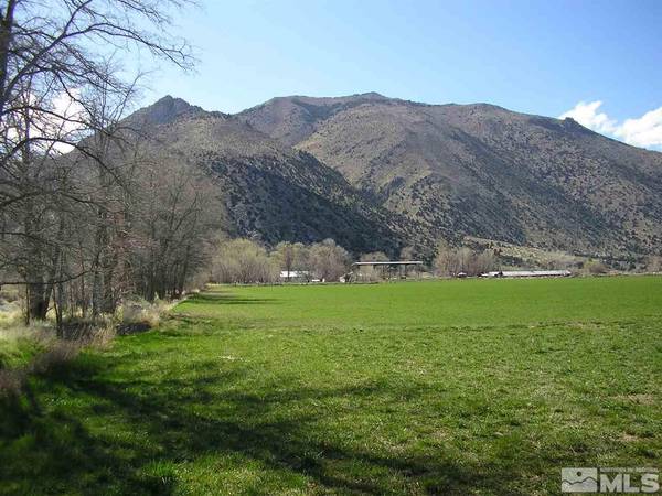 42 Wedertz LN Lane, Wellington, NV 89444