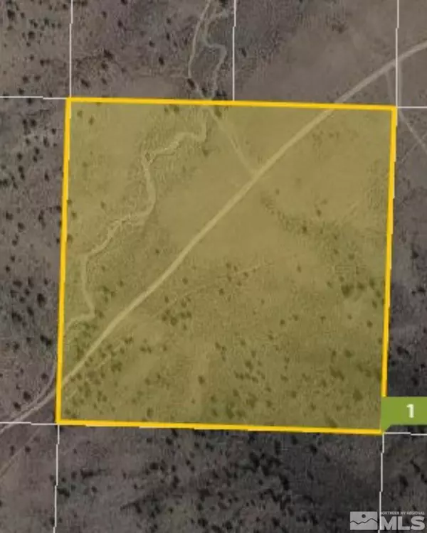 Virginia City, NV 89521,LOT 212S-470S NW4NE-S10/17N/21E VIRGINIA RANCHES