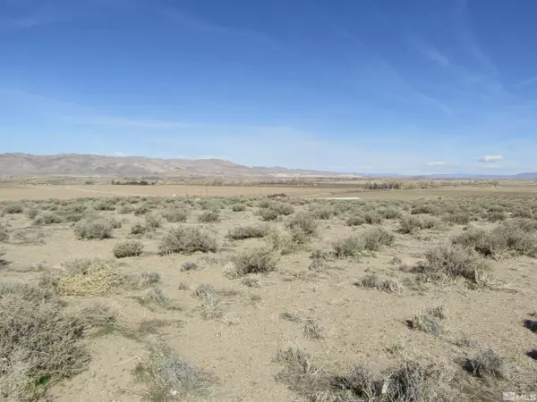 Yerington, NV 89447,0 Tognoli LN Lane