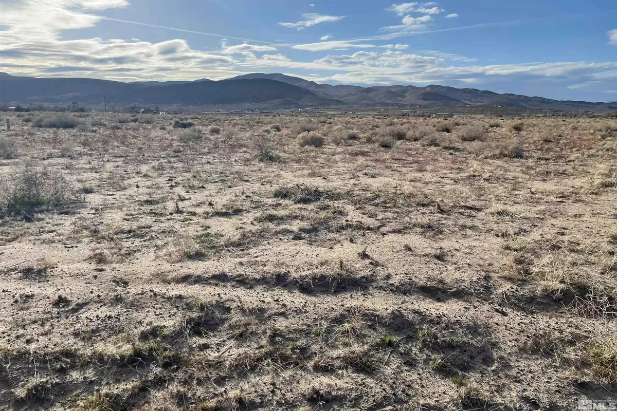 Silver Springs, NV 89429,8685 Angel