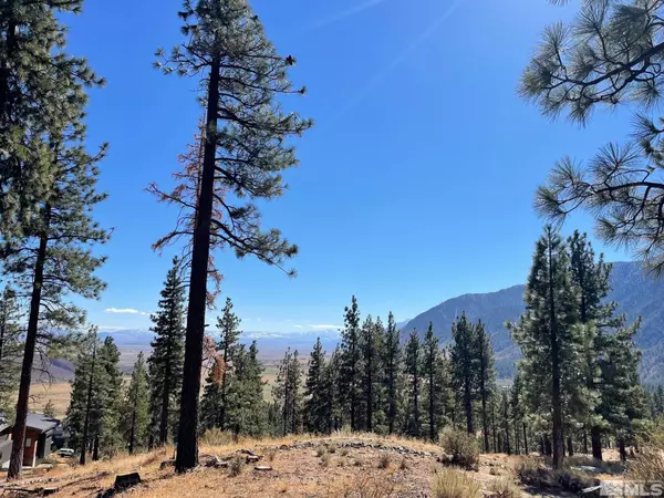 Carson City, NV 89705,262 Swifts Station