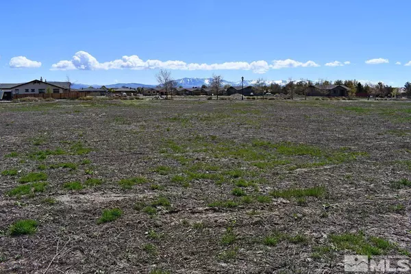 Minden, NV 89423,1786 Monte VIS