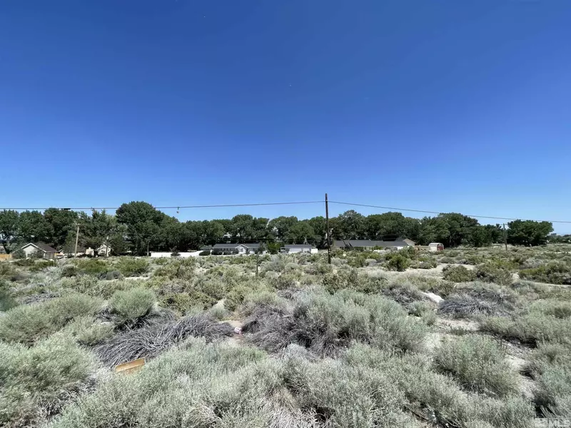 0 HWY 339, Yerington, NV 89447