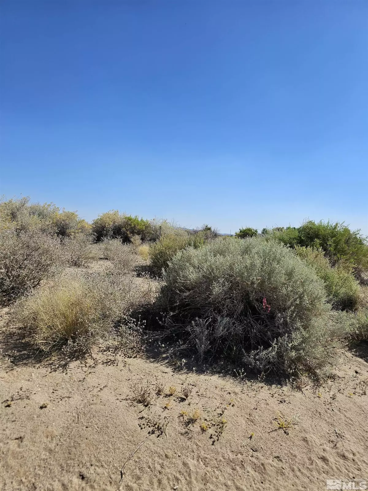 Fallon, NV 89406,8245 Kamibo DR Drive