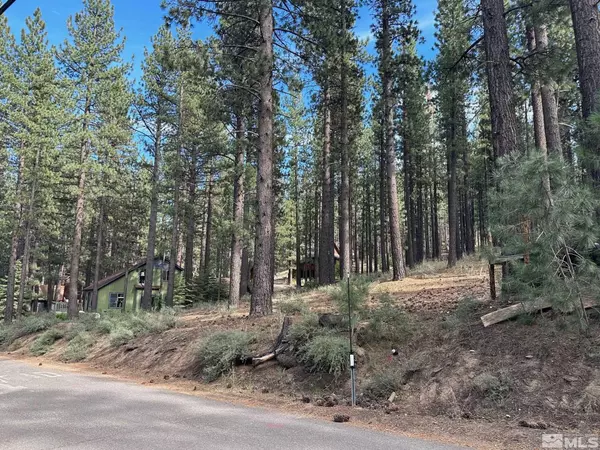 Markleeville, CA 96120,66 Pleasant Valley RD Road