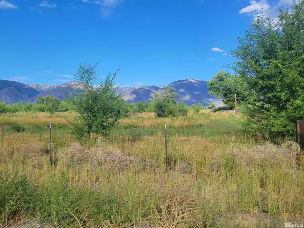 Wellington, NV 89444,99 Jessen